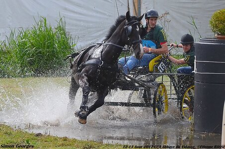 2017-08 CCA Valasse Chevaux et Traits, 16-DSC_1838