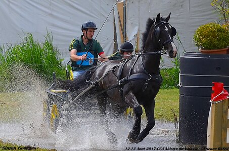 2017-08 CCA Valasse Chevaux et Traits, 16-DSC_1840