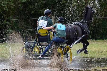 2017-08 CCA Valasse Chevaux et Traits, 16-DSC_1846