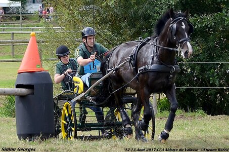 2017-08 CCA Valasse Chevaux et Traits, 16-DSC_1847