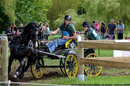 2017-08 CCA Valasse Chevaux et Traits, 16-DSC_1946