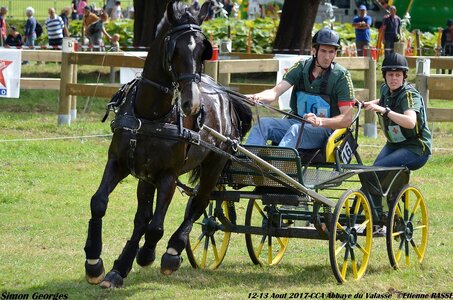 2017-08 CCA Valasse Chevaux et Traits, 16-DSC_2015