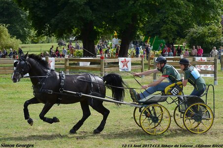 2017-08 CCA Valasse Chevaux et Traits, 16-DSC_2018
