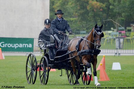 2017-08 CCA Valasse Chevaux et Traits, 17-0DSC_9733