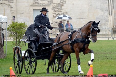 2017-08 CCA Valasse Chevaux et Traits, 17-0DSC_9743