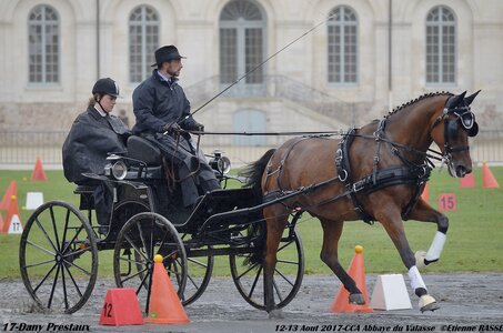 2017-08 CCA Valasse Chevaux et Traits, 17-0DSC_9745