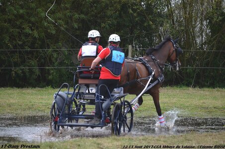 2017-08 CCA Valasse Chevaux et Traits, 17-DSC_1870