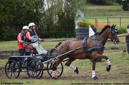 2017-08 CCA Valasse Chevaux et Traits, 17-DSC_1874
