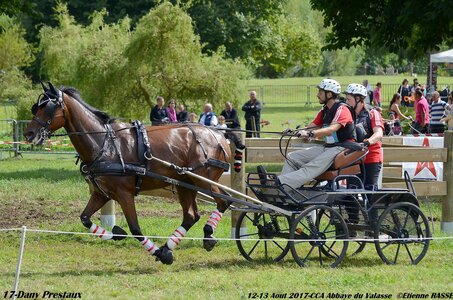 2017-08 CCA Valasse Chevaux et Traits, 17-DSC_1983