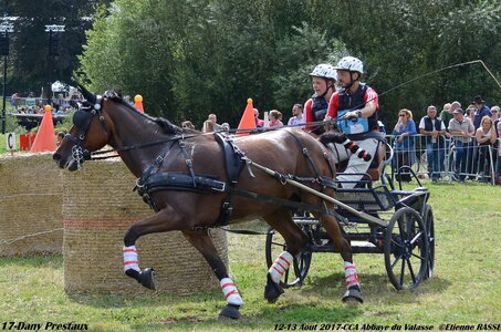 2017-08 CCA Valasse Chevaux et Traits, 17-DSC_2040