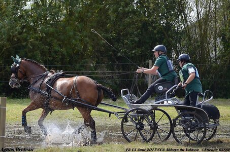 2017-08 CCA Valasse Chevaux et Traits, 18-DSC_2288
