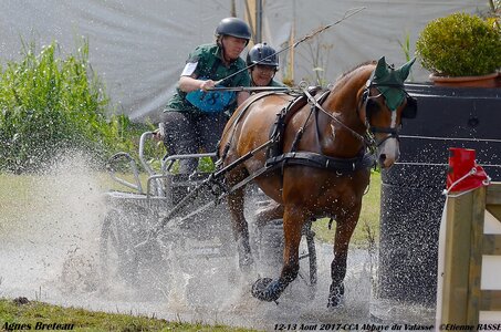 2017-08 CCA Valasse Chevaux et Traits, 18-DSC_2294