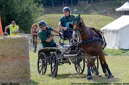 2017-08 CCA Valasse Chevaux et Traits, 18-DSC_2382