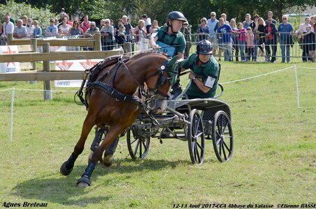 2017-08 CCA Valasse Chevaux et Traits, 18-DSC_2391