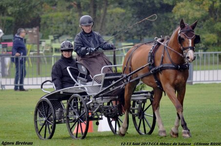 2017-08 CCA Valasse Chevaux et Traits, 18-DSC_9983