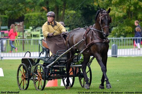 2017-08 CCA Valasse Chevaux et Traits, 19-0DSC_9813