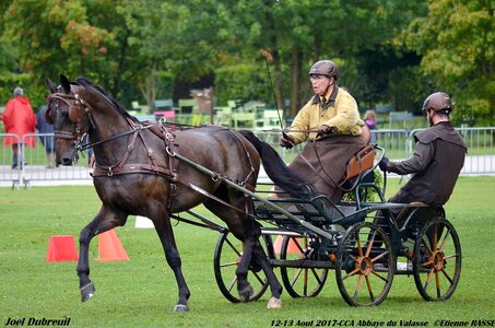 2017-08 CCA Valasse Chevaux et Traits, 19-0DSC_9814