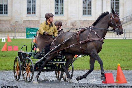 2017-08 CCA Valasse Chevaux et Traits, 19-0DSC_9816