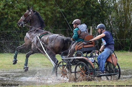 2017-08 CCA Valasse Chevaux et Traits, 19-DSC_1910