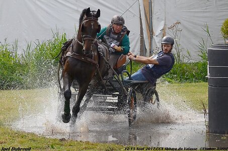 2017-08 CCA Valasse Chevaux et Traits, 19-DSC_1916