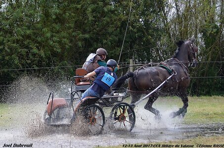 2017-08 CCA Valasse Chevaux et Traits, 19-DSC_1928