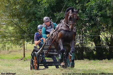 2017-08 CCA Valasse Chevaux et Traits, 19-DSC_1930
