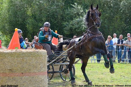 2017-08 CCA Valasse Chevaux et Traits, 19-DSC_2092