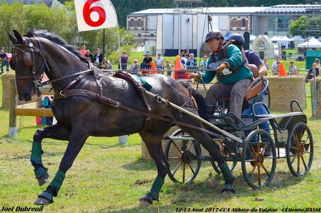 2017-08 CCA Valasse Chevaux et Traits, 19-DSC_2111