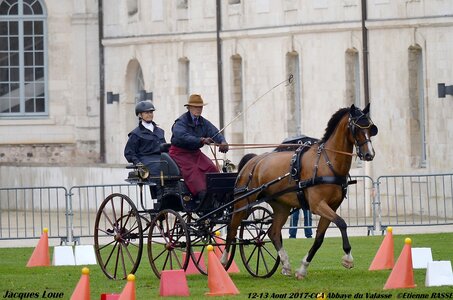 2017-08 CCA Valasse Chevaux et Traits, 20-0DSC_9842