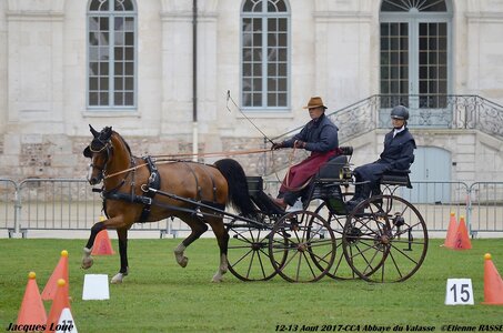 2017-08 CCA Valasse Chevaux et Traits, 20-0DSC_9850