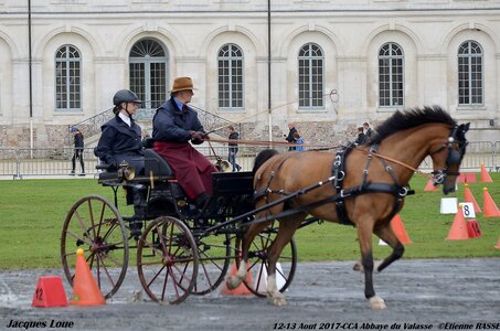2017-08 CCA Valasse Chevaux et Traits, 20-0DSC_9852