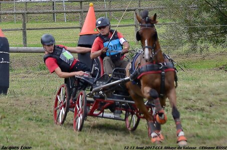 2017-08 CCA Valasse Chevaux et Traits, 20-DSC_1730