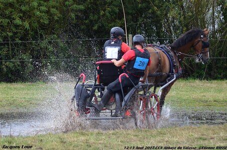 2017-08 CCA Valasse Chevaux et Traits, 20-DSC_1731