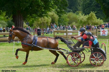 2017-08 CCA Valasse Chevaux et Traits, 20-DSC_1863
