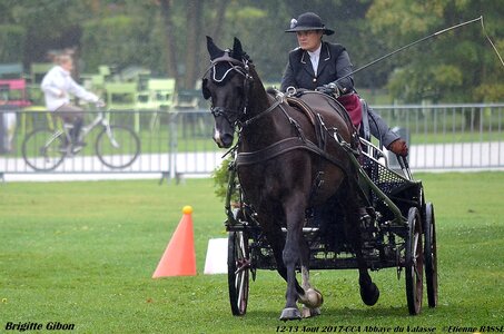 2017-08 CCA Valasse Chevaux et Traits, 21-DSC_0060
