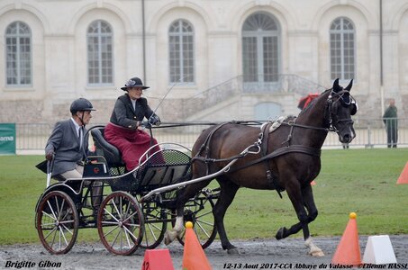 2017-08 CCA Valasse Chevaux et Traits, 21-DSC_0063
