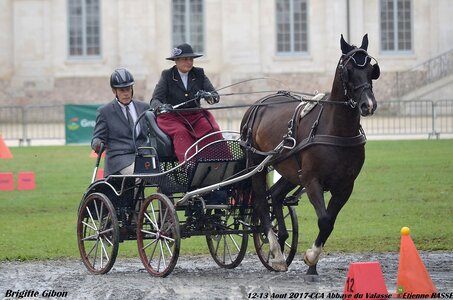 2017-08 CCA Valasse Chevaux et Traits, 21-DSC_0068
