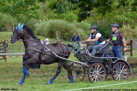 2017-08 CCA Valasse Chevaux et Traits, 21-DSC_1008
