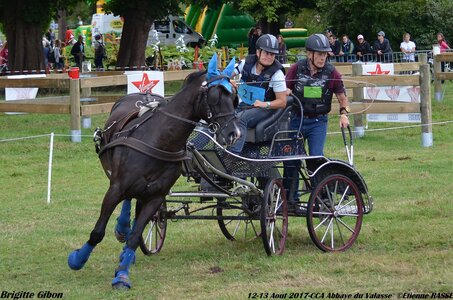 2017-08 CCA Valasse Chevaux et Traits, 21-DSC_1049
