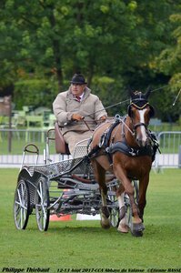 2017-08 CCA Valasse Chevaux et Traits, 22-0DSC_9928