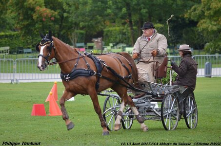 2017-08 CCA Valasse Chevaux et Traits, 22-0DSC_9929