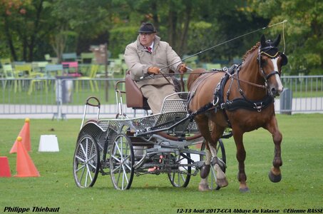 2017-08 CCA Valasse Chevaux et Traits, 22-0DSC_9934