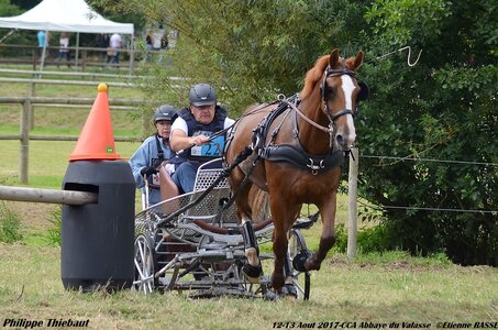 2017-08 CCA Valasse Chevaux et Traits, 22-DSC_1777