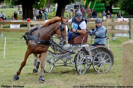 2017-08 CCA Valasse Chevaux et Traits, 22-DSC_1890