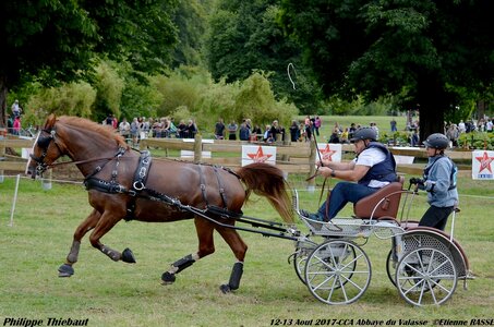 2017-08 CCA Valasse Chevaux et Traits, 22-DSC_1895