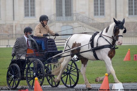 2017-08 CCA Valasse Chevaux et Traits, 23-0DSC_9774