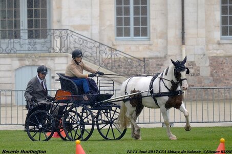 2017-08 CCA Valasse Chevaux et Traits, 23-0DSC_9777