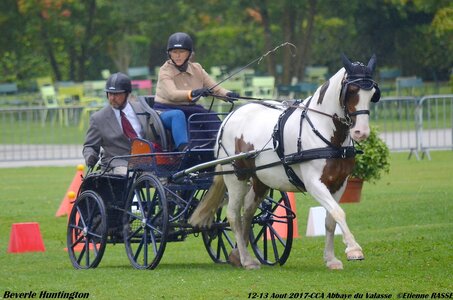 2017-08 CCA Valasse Chevaux et Traits, 23-0DSC_9782