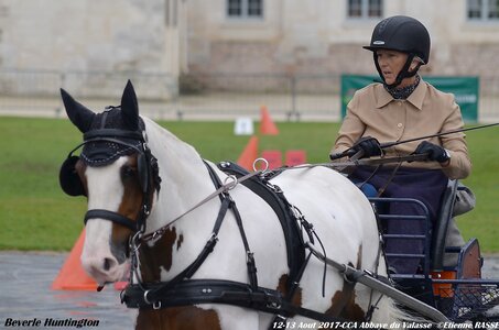 2017-08 CCA Valasse Chevaux et Traits, 23-0DSC_9787