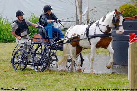 2017-08 CCA Valasse Chevaux et Traits, 23-DSC_1812